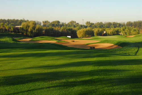 U2010P6T12D4036291F44DT20081028135132