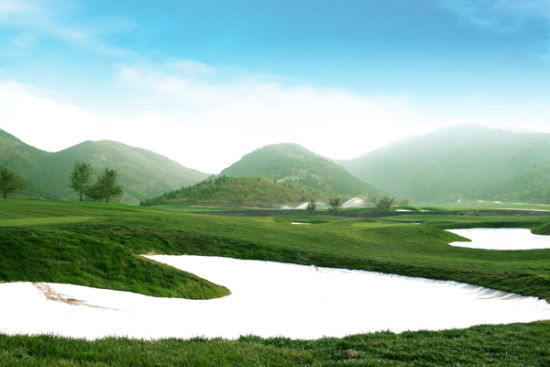 U364P6T12D4699569F44DT20110930141705